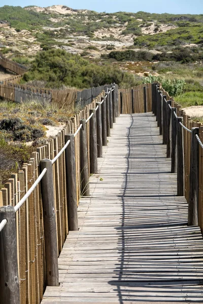 Piękny Widok Drewnianą Ścieżkę Guincho Przez Wydmy Położony Sintra Portugalia — Zdjęcie stockowe
