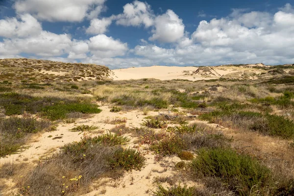 Prachtig Uitzicht Typische Zandduinen Het Strand Van Guincho Gelegen Sintra — Stockfoto