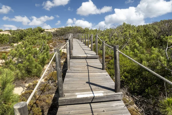 Prachtig Uitzicht Het Guincho Houten Pad Door Zandduinen Gelegen Sintra — Stockfoto