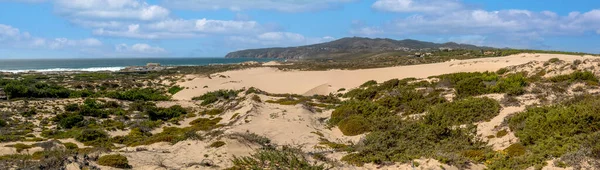位于葡萄牙辛特拉的几内亚海滩上的典型沙丘美景 — 图库照片