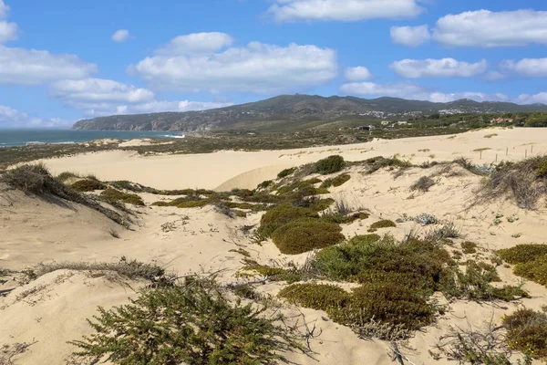 Vacker Utsikt Över Typiska Sanddynerna Guincho Stranden Som Ligger Sintra — Stockfoto