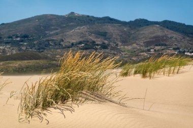Portekiz, Sintra 'da bulunan Guincho sahilindeki tipik kum tepelerinin güzel manzarası..