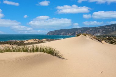 Portekiz, Sintra 'da bulunan Guincho sahilindeki tipik kum tepelerinin güzel manzarası..