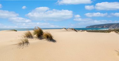 Portekiz, Sintra 'da bulunan Guincho sahilindeki tipik kum tepelerinin güzel manzarası..