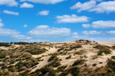 Portekiz, Sintra 'da bulunan Guincho sahilindeki tipik kum tepelerinin güzel manzarası..