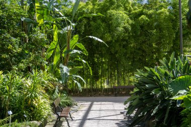 Lizbon, Portekiz 'deki Soğuk Sera bahçesinden bir bölümün iç görünümü.