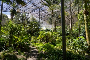 Lizbon, Portekiz 'deki Soğuk Sera bahçesinden bir bölümün iç görünümü.