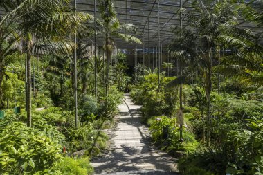 Lizbon, Portekiz 'deki Soğuk Sera bahçesinden bir bölümün iç görünümü.