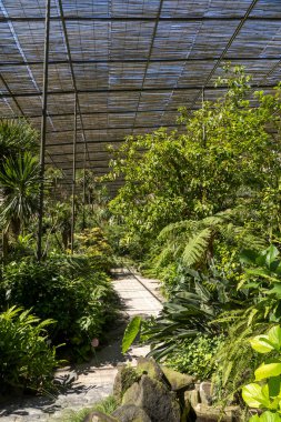 Lizbon, Portekiz 'deki Soğuk Sera bahçesinden bir bölümün iç görünümü.