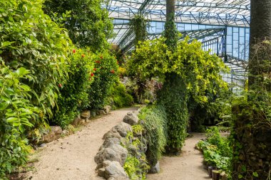 Lizbon, Portekiz 'deki Soğuk Sera bahçesinden bir bölümün iç görünümü.