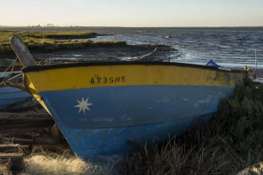 Portekiz, Carrasqueira 'daki Palaphitic rıhtımının yakınındaki eski ahşap balıkçı teknelerinin görüntüsü..