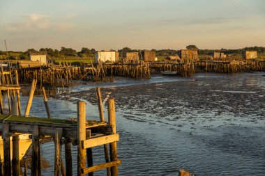Portekiz, Carrasqueira 'daki eski ahşap palaphitik rıhtım manzarası.