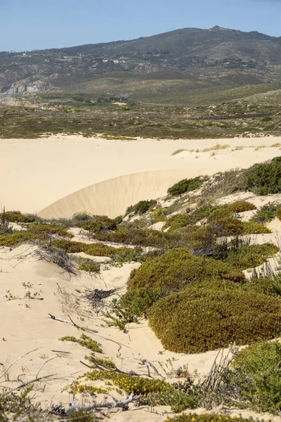 Piękny Widok Typowe Wydmy Plaży Guincho Położony Sintra Portugalia — Zdjęcie stockowe