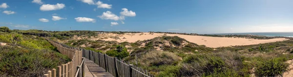 Vacker Utsikt Över Guincho Träväg Genom Sanddynerna Som Ligger Sintra — Stockfoto