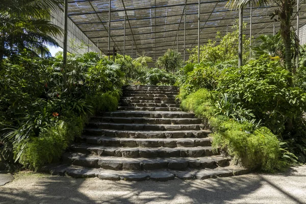 Vue Intérieure Une Section Jardin Serres Froides Situé Lisbonne Portugal — Photo