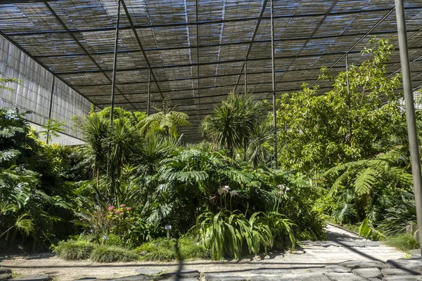 Wnętrze Sekcji Ogrodu Zimnej Szklarni Lizbonie Portugalia — Zdjęcie stockowe