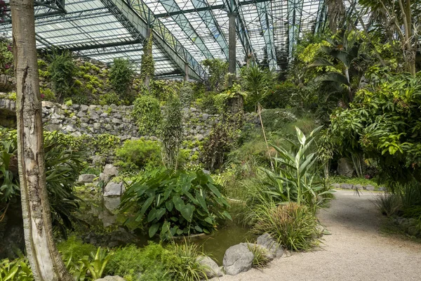 Pohled Interiéru Sekce Zahrady Studeného Skleníku Lisabonu Portugalsko — Stock fotografie