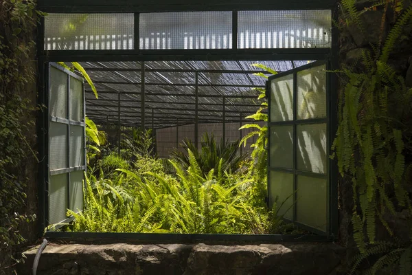 Vista Interior Una Sección Del Jardín Cold Greenhouse Situado Lisboa — Foto de Stock