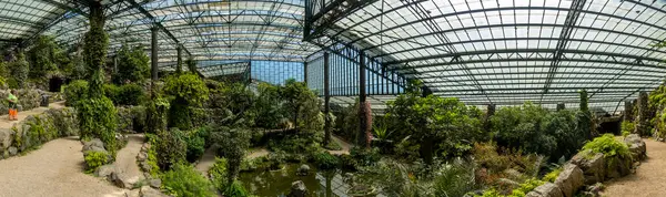 Lisbon Portugal 30Th June 2022 Interior View Section Cold Greenhouse — стокове фото