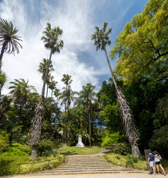 Vue Sur Magnifique Jardin Botanique Capitale Lisbonne Portugal — Photo