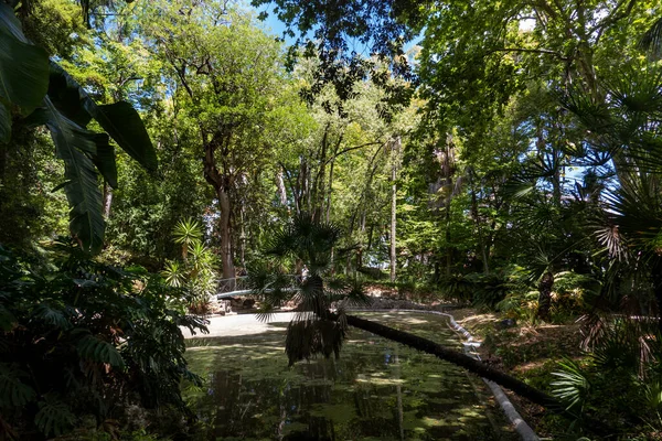 Lisbon Portugalia Czerwca 2022 Widok Piękny Ogród Botaniczny Stolicy Lizbona — Zdjęcie stockowe