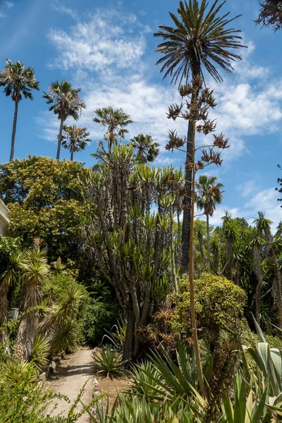 Uitzicht Prachtige Botanische Tuin Van Hoofdstad Lissabon Portugal — Stockfoto