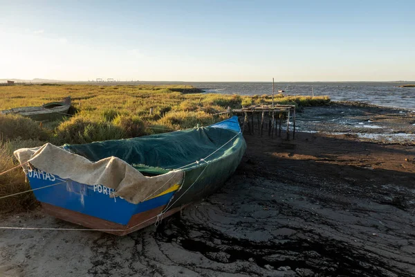 Portekiz, Carrasqueira 'daki Palaphitic rıhtımının yakınındaki eski ahşap balıkçı teknelerinin görüntüsü..