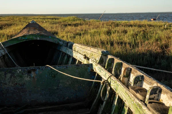 Portekiz, Carrasqueira 'daki Palaphitic rıhtımının yakınındaki eski ahşap balıkçı teknelerinin görüntüsü..