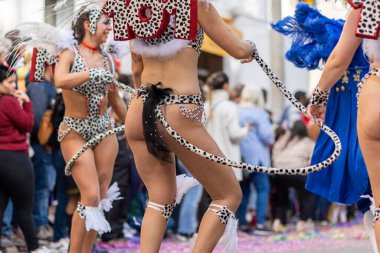 LOULE, PORTUGAL - 23 Şubat 2023: Loule, Portekiz 'deki Renkli Karnaval Festivali katılımcıları.