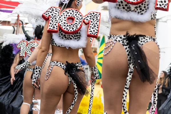 Люль Португалия Февраля 2023 Года Красочный Карнавал Carnaval Участников Фестиваля — стоковое фото