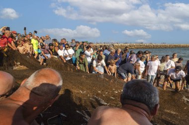 QuARTEIRA, PORTUGAL - 6 HAZİRAN 2023: Plaj kıyısındaki yerel halk tarafından yapılan ağ balıkçılığı geleneği.