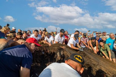 QuARTEIRA, PORTUGAL - 6 HAZİRAN 2023: Plaj kıyısındaki yerel halk tarafından yapılan ağ balıkçılığı geleneği.