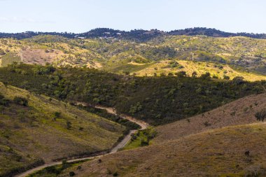 Algarve bölgesinin tipik kırsal manzarası. İçi kistus ladanifer bitkileriyle dolu..