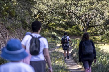 Doğa üzerinde yürüyen bir grup yürüyüşçünün yakın görüntüsü.