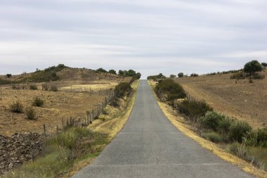 Portekiz 'in güneyinde uzun bir kırsal yol manzarası.