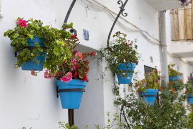 Mijas, İspanya - 22 Ekim 2023: İspanya 'nın Endülüs kentindeki Mijas köyünde tipik mavi saksı bitkileri.