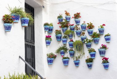 İspanya, Endülüs 'te bulunan Mijas köyündeki tipik mavi saksı bitkileri..
