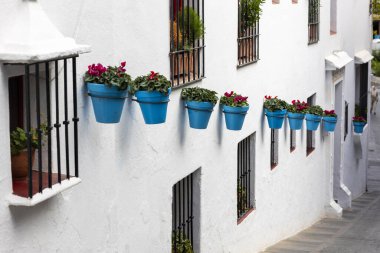 İspanya, Endülüs 'te bulunan Mijas köyündeki tipik mavi saksı bitkileri..