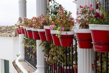 İspanya, Endülüs 'te bulunan Mijas köyündeki tipik saksı bitkileri.