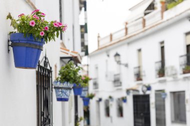 İspanya, Endülüs 'te bulunan Mijas köyündeki tipik mavi saksı bitkileri..