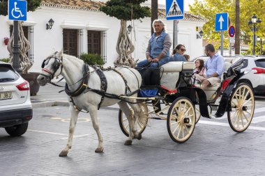 Mijas, İspanya - 22 Ekim 2023: İspanya 'nın Mijas kasabasında turistler tarafından kullanılan eşek taksileri.