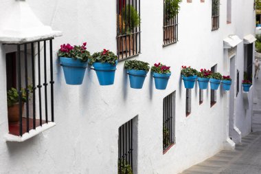 Mijas, İspanya - 22 Ekim 2023: İspanya 'nın Endülüs kentindeki Mijas köyünde tipik mavi saksı bitkileri.