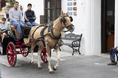 Mijas, İspanya - 22 Ekim 2023: İspanya 'nın Mijas kasabasında turistler tarafından kullanılan eşek taksileri.