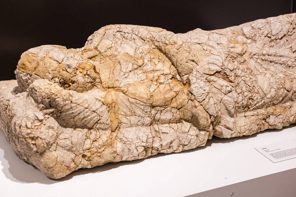 Малага, Испания - 21 октября 2023 года: фрагменты римских артефактов в музее в Испании.