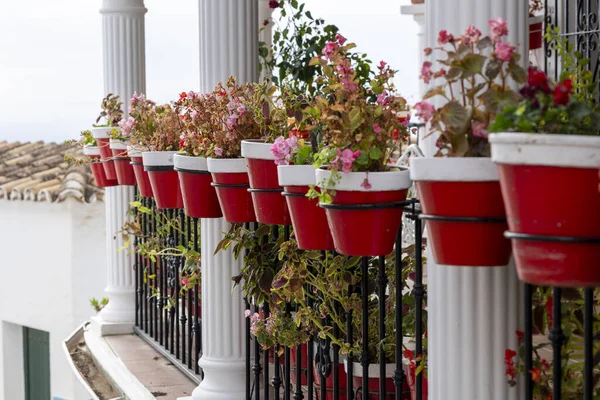 Mijas, İspanya - 22 Ekim 2023: İspanya 'nın Endülüs kentindeki Mijas köyündeki tipik saksı bitkileri.