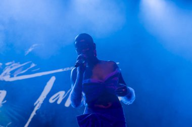 FARO, PORTUGAL: 9. SEPTEMBER, 2023 - Müzik grubu, Soraia Tavares, Portekiz 'in Faro kentinde düzenlenen büyük bir festival olan F Festivali' nde sahne aldı..