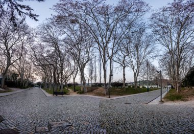 Çıplak ağaçlarla dolu şehir parkı, kışın Loule City, Algarve, Portekiz.