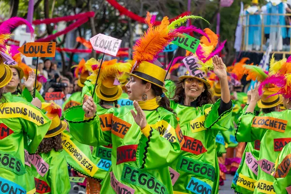 LOULE, PORTUGAL - 17 Şubat 2024: Loule, Portekiz 'deki Renkli Karnaval Festivali katılımcıları.