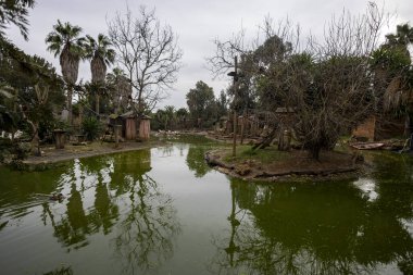 LAGOS, PORTUGAL - 17 HAZİRAN 2024: Portekiz 'in Algarve bölgesindeki Lagos Hayvanat Bahçesindeki maymun göletlerinin fotoğrafı.