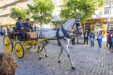 SAO BRAS DE ALPORTE, PORTUGAL - 4 MAYIS 2024: At arabalarıyla at arabaları ve bu duruma uygun giyinmiş insanlarla geleneksel eşleştirme etkinliği.